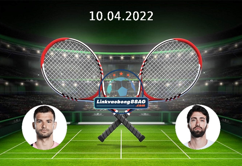 dimitrov vs basilashvili