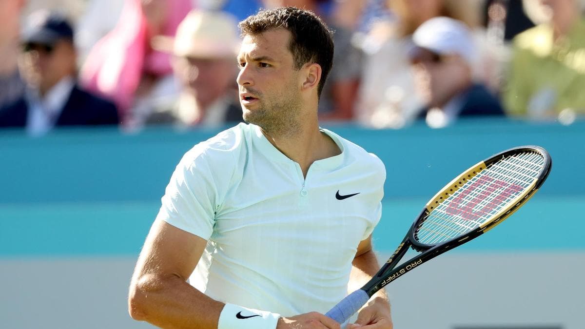 dimitrov vs basilashvili