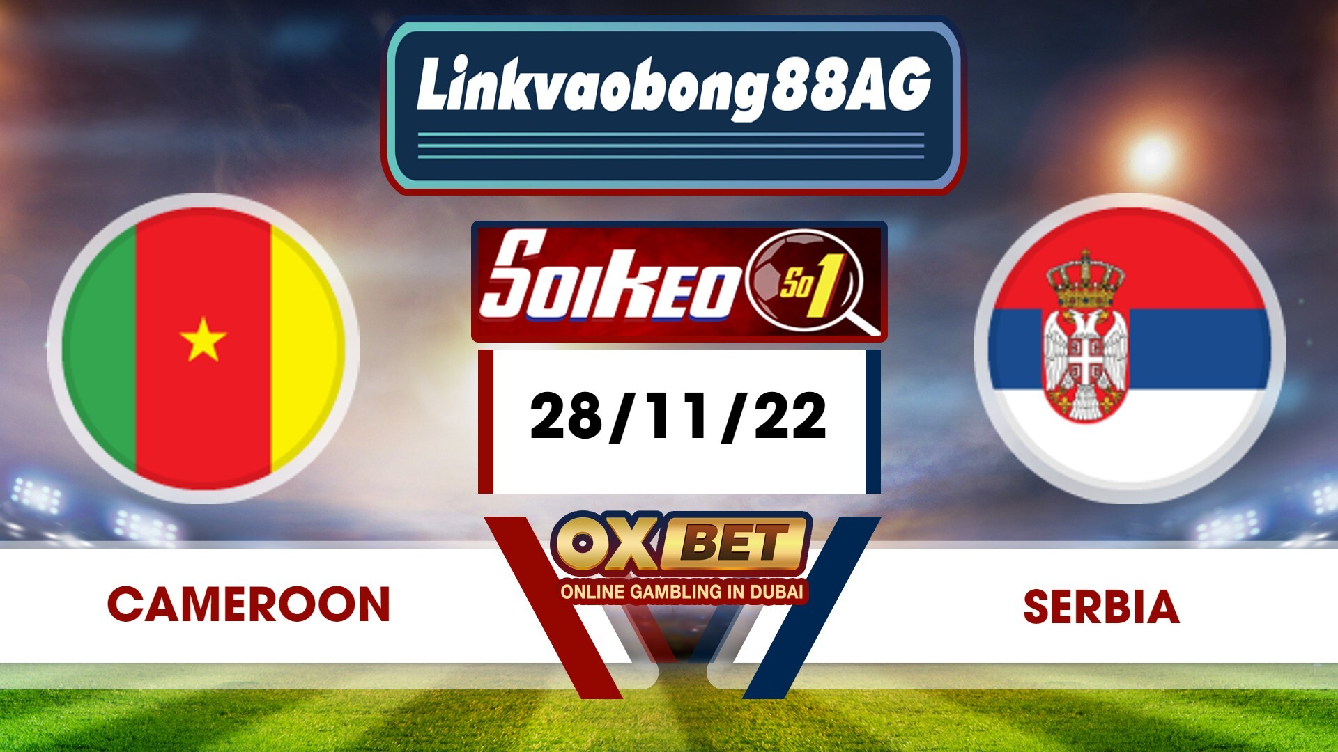 Soi kèo Bong88 Cameroon vs Serbia – 28/11/2022 – 17h00 tối