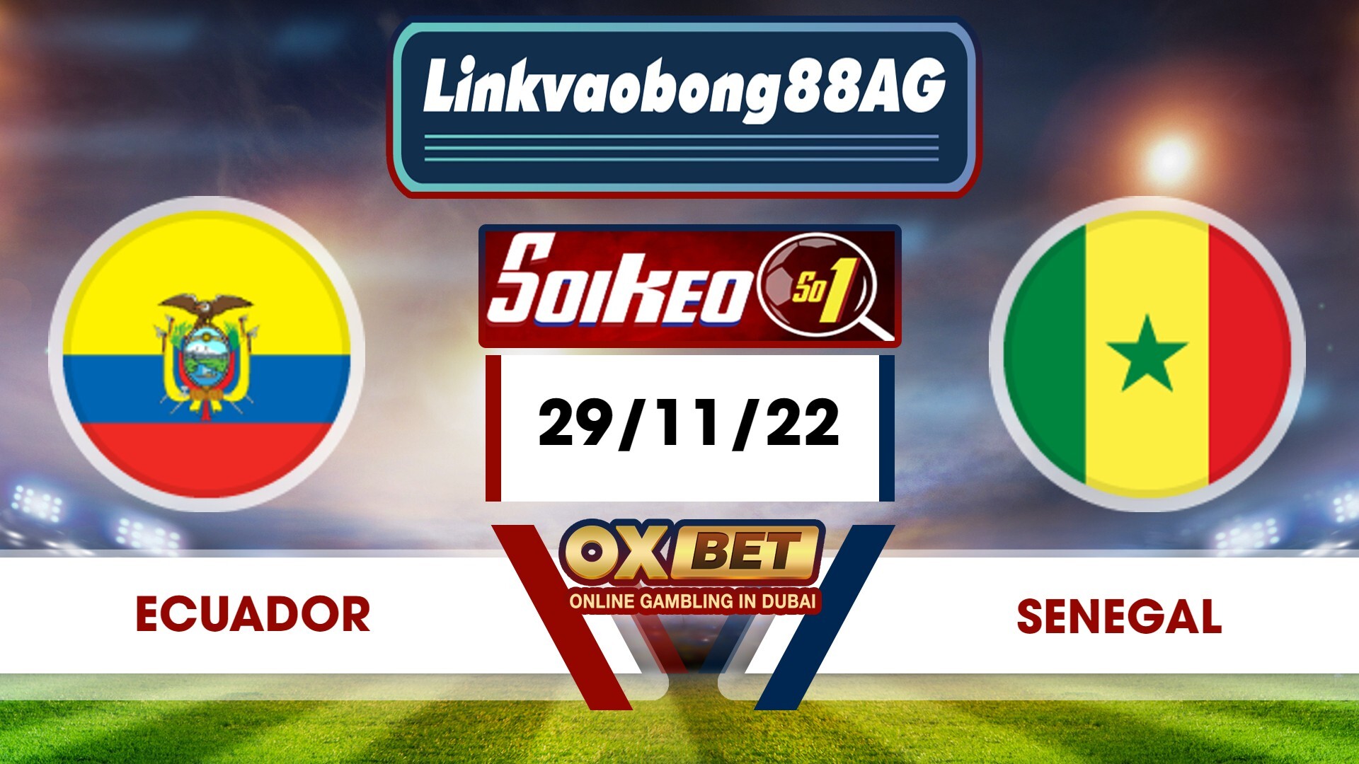 Soi kèo Bong88 Ecuador vs Senegal – 29/11/2022 – 22h00 tối