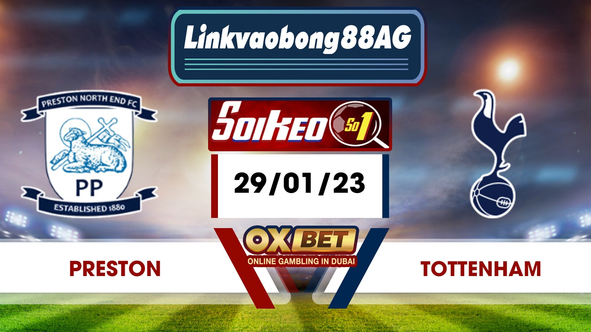 Soi kèo Bong88 Preston vs Tottenham – 29/01/2023 – 01h00 sáng