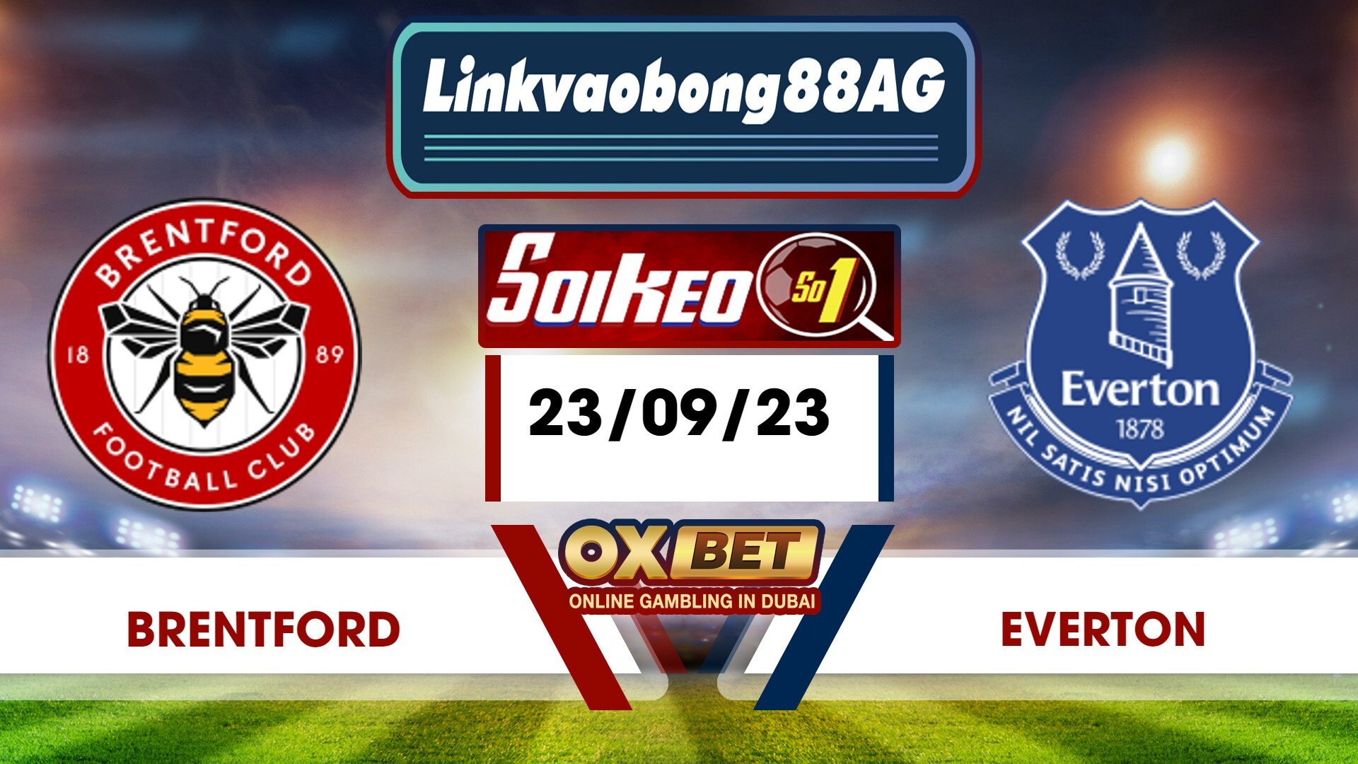 Soi kèo Bong88 Brentford vs Everton – 23/09/2023 – 23h30 Tối