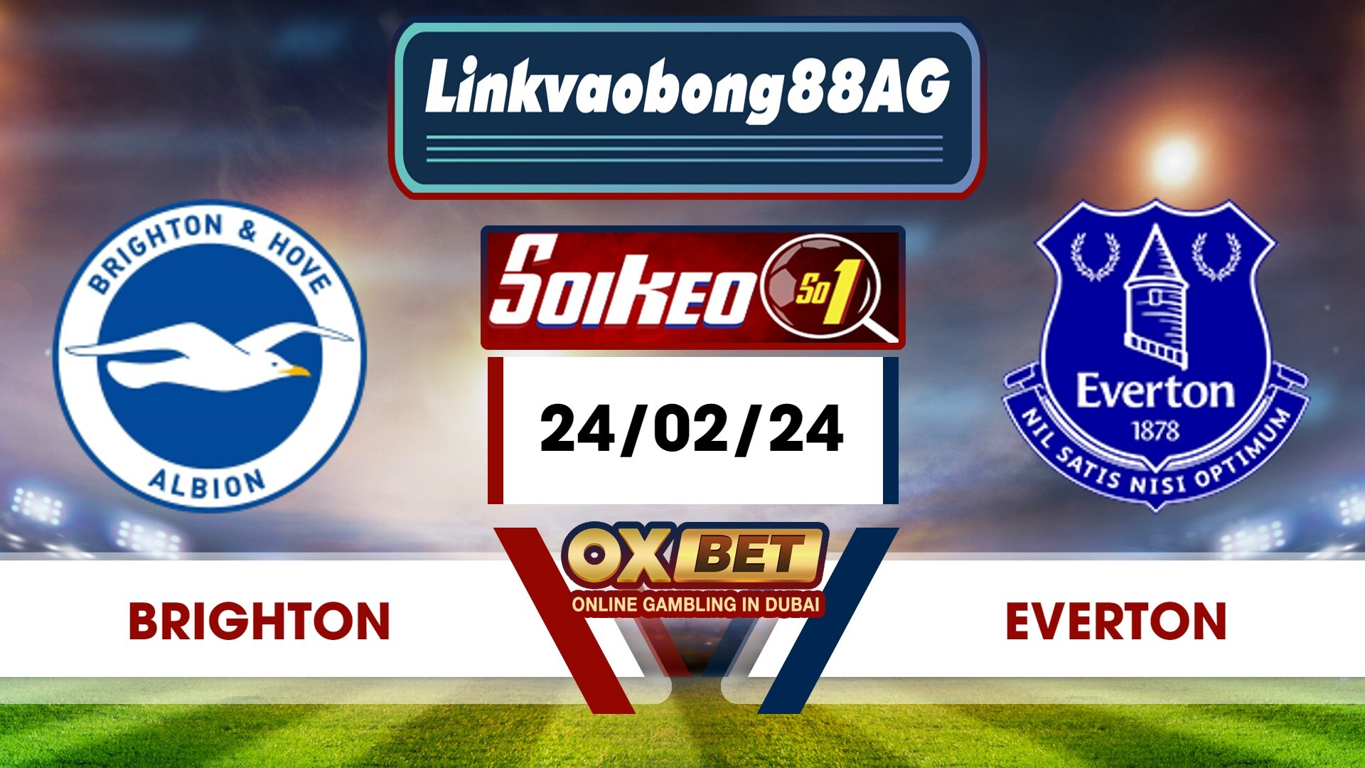 Soi kèo Bong88 Brighton vs Everton – 24/02/2024 – 22h00 Tối