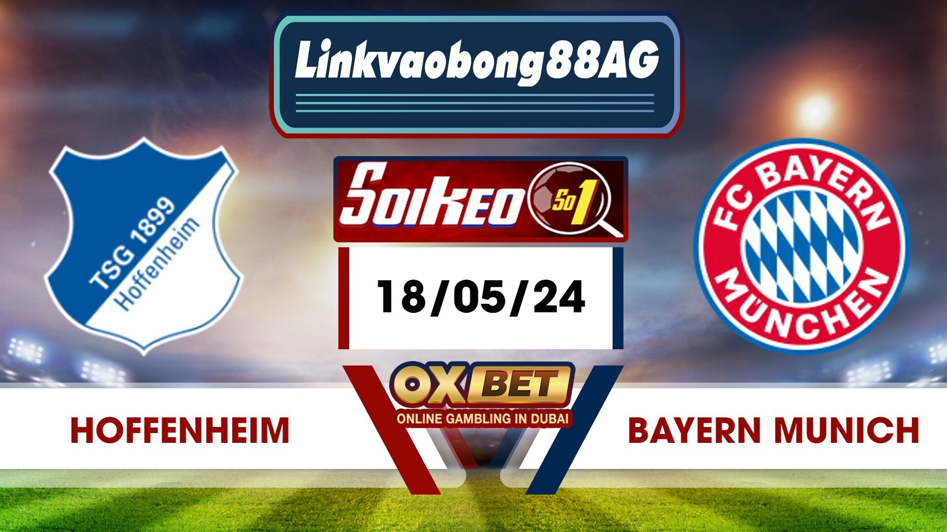 Soi kèo Bong88 Hoffenheim vs Bayern Munich – 18/05/2024 – 20h30 Tối