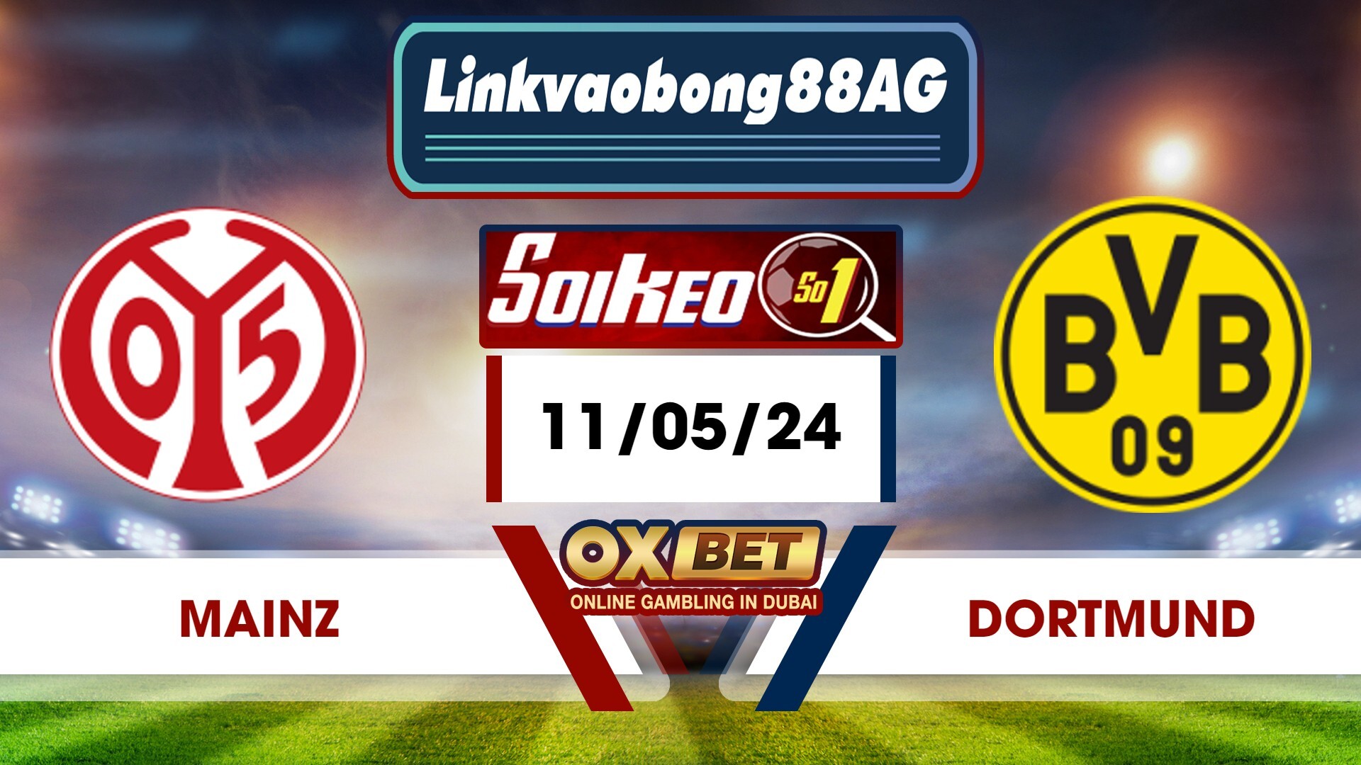 Soi kèo Bong88 Mainz vs Dortmund – 11/05/2024 – 23h30 Tối